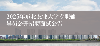 2025年东北农业大学专职辅导员公开招聘面试公告