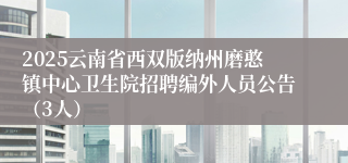 2025云南省西双版纳州磨憨镇中心卫生院招聘编外人员公告（3人）