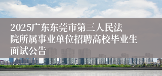 2025广东东莞市第三人民法院所属事业单位招聘高校毕业生面试公告