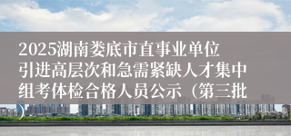 2025湖南娄底市直事业单位引进高层次和急需紧缺人才集中组考体检合格人员公示（第三批）