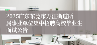 2025广东东莞市万江街道所属事业单位集中招聘高校毕业生面试公告