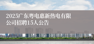 2025广东粤电惠新热电有限公司招聘15人公告