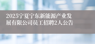 2025宁夏宁东新能源产业发展有限公司员工招聘2人公告