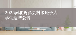 2025河北鸡泽县村级班子大学生选聘公告