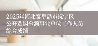 2025年河北秦皇岛市抚宁区公开选调全额事业单位工作人员综合成绩