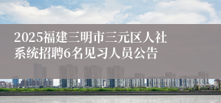 2025福建三明市三元区人社系统招聘6名见习人员公告