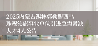 2025内蒙古锡林郭勒盟西乌珠穆沁旗事业单位引进急需紧缺人才4人公告