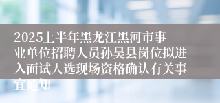 2025上半年黑龙江黑河市事业单位招聘人员孙吴县岗位拟进入面试人选现场资格确认有关事宜通知