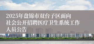 2025年盘锦市双台子区面向社会公开招聘医疗卫生系统工作人员公告