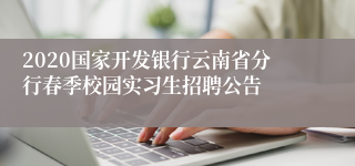 2020国家开发银行云南省分行春季校园实习生招聘公告
