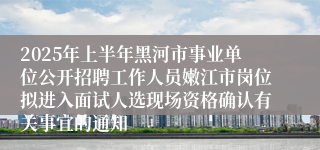 2025年上半年黑河市事业单位公开招聘工作人员嫩江市岗位拟进入面试人选现场资格确认有关事宜的通知