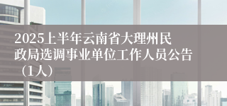 2025上半年云南省大理州民政局选调事业单位工作人员公告（1人）