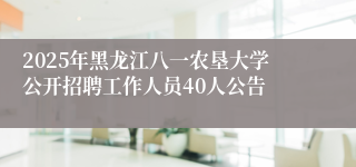 2025年黑龙江八一农垦大学公开招聘工作人员40人公告