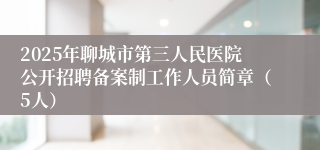 2025年聊城市第三人民医院公开招聘备案制工作人员简章（5人）