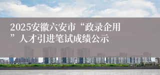 2025安徽六安市“政录企用”人才引进笔试成绩公示