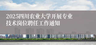 2025四川农业大学开展专业技术岗位聘任工作通知