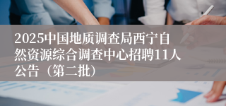 2025中国地质调查局西宁自然资源综合调查中心招聘11人公告（第二批）