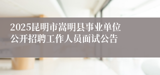 2025昆明市嵩明县事业单位公开招聘工作人员面试公告