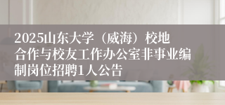 2025山东大学（威海）校地合作与校友工作办公室非事业编制岗位招聘1人公告