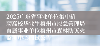 2025广东省事业单位集中招聘高校毕业生梅州市应急管理局直属事业单位梅州市森林防灭火监测中心面试公告