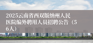 2025云南省西双版纳州人民医院编外聘用人员招聘公告（56人）
