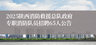 2025陕西消防救援总队政府专职消防队员招聘65人公告