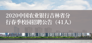2020中国农业银行吉林省分行春季校园招聘公告（41人）