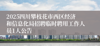 2025四川攀枝花市西区经济和信息化局招聘临时聘用工作人员1人公告