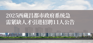 2025西藏昌都市政府系统急需紧缺人才引进招聘11人公告