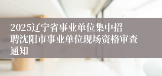 2025辽宁省事业单位集中招聘沈阳市事业单位现场资格审查通知