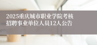 2025重庆城市职业学院考核招聘事业单位人员12人公告