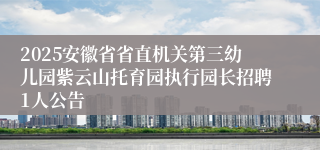 2025安徽省省直机关第三幼儿园紫云山托育园执行园长招聘1人公告