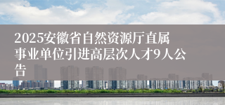 2025安徽省自然资源厅直属事业单位引进高层次人才9人公告