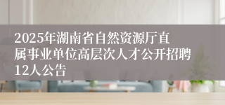 2025年湖南省自然资源厅直属事业单位高层次人才公开招聘12人公告