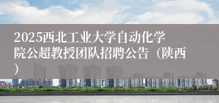2025西北工业大学自动化学院公超教授团队招聘公告（陕西）
