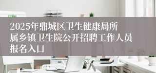 2025年鼎城区卫生健康局所属乡镇卫生院公开招聘工作人员报名入口
