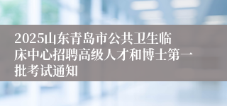 2025山东青岛市公共卫生临床中心招聘高级人才和博士第一批考试通知
