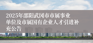 2025年邵阳武冈市市属事业单位及市属国有企业人才引进补充公告