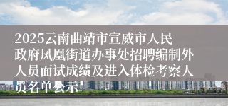 2025云南曲靖市宣威市人民政府凤凰街道办事处招聘编制外人员面试成绩及进入体检考察人员名单公示