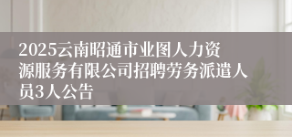 2025云南昭通市业图人力资源服务有限公司招聘劳务派遣人员3人公告