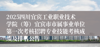 2025四川宜宾工业职业技术学院（筹）宜宾市市属事业单位第一次考核招聘专业技能考核成绩及排名公告