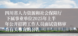 四川省人力资源和社会保障厅  下属事业单位2025年上半年公开招聘工作人员面试资格审查有关事宜的公告