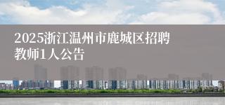 2025浙江温州市鹿城区招聘教师1人公告