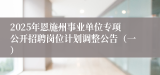2025年恩施州事业单位专项公开招聘岗位计划调整公告（一）