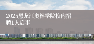 2025黑龙江奥林学院校内招聘1人启事