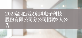 2025湖北武汉东风电子科技股份有限公司分公司招聘2人公告