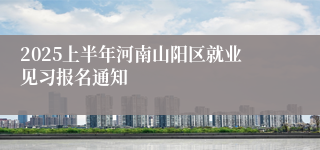 2025上半年河南山阳区就业见习报名通知