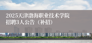 2025天津渤海职业技术学院招聘3人公告（补招）