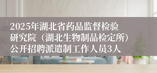 2025年湖北省药品监督检验研究院（湖北生物制品检定所）公开招聘派遣制工作人员3人