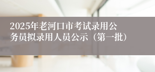 2025年老河口市考试录用公务员拟录用人员公示（第一批）